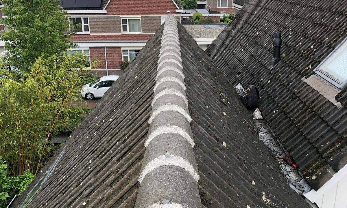 Nokvorsten Heerenveen
